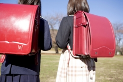 Absentéisme scolaire: adoption du texte suspendant les allocations